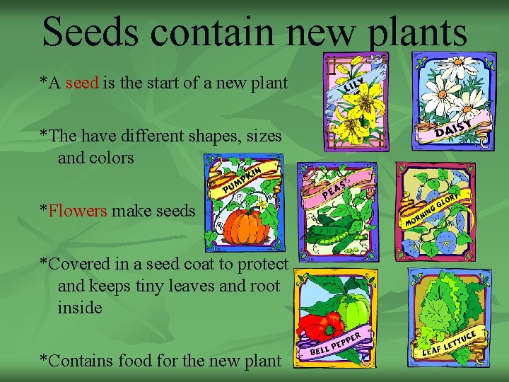 Seeds contain new plants *A seed is the start of a new plant *The