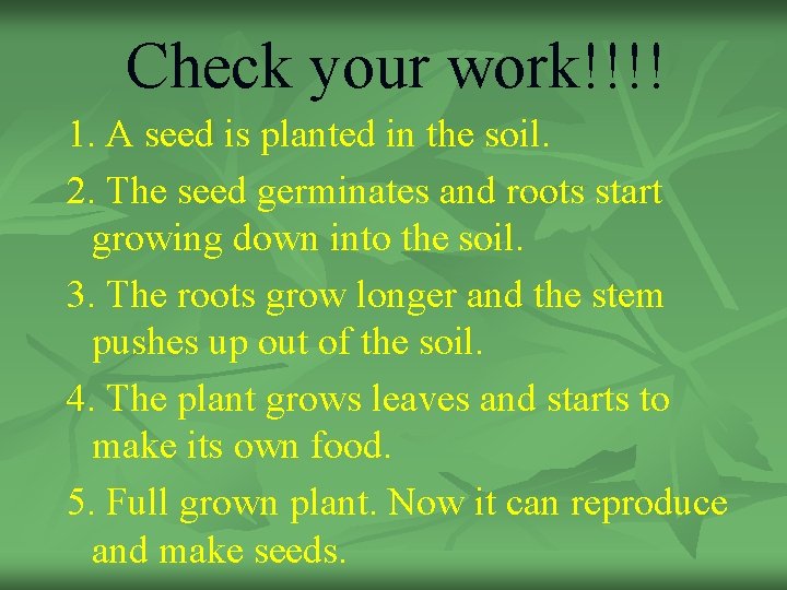 Check your work!!!! 1. A seed is planted in the soil. 2. The seed