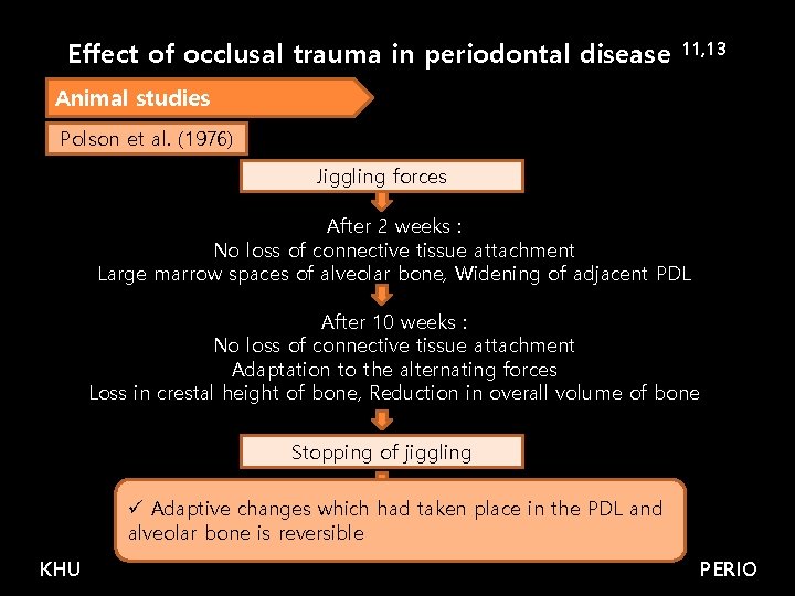 Effect of occlusal trauma in periodontal disease 11, 13 Animal studies Polson et al.