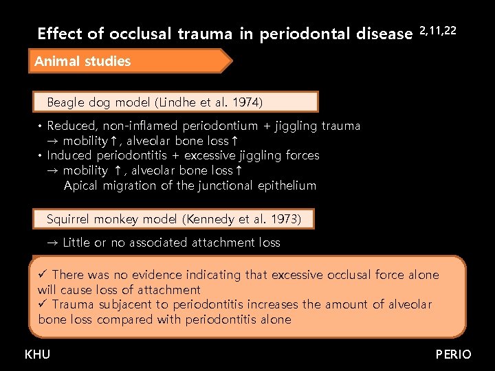 Effect of occlusal trauma in periodontal disease 2, 11, 22 Animal studies Beagle dog