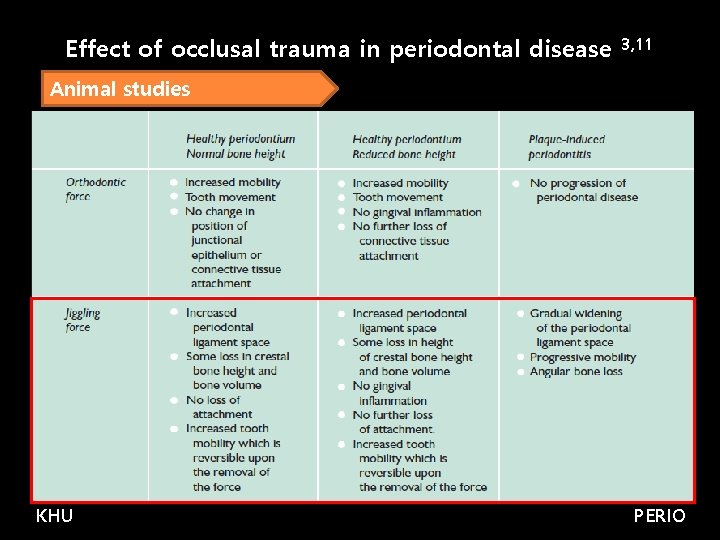 Effect of occlusal trauma in periodontal disease 3, 11 Animal studies KHU PERIO 