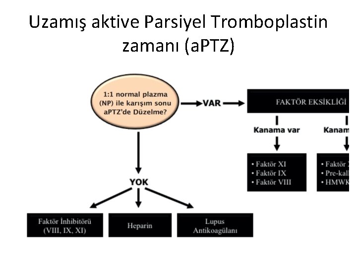Uzamış aktive Parsiyel Tromboplastin zamanı (a. PTZ) 