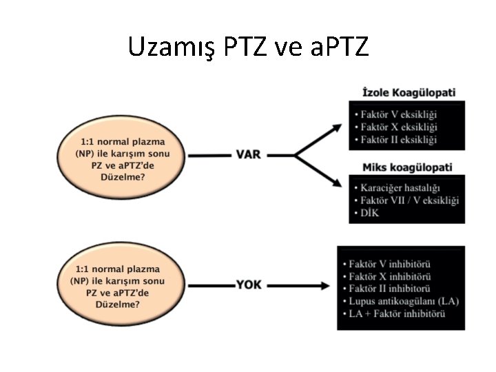Uzamış PTZ ve a. PTZ 