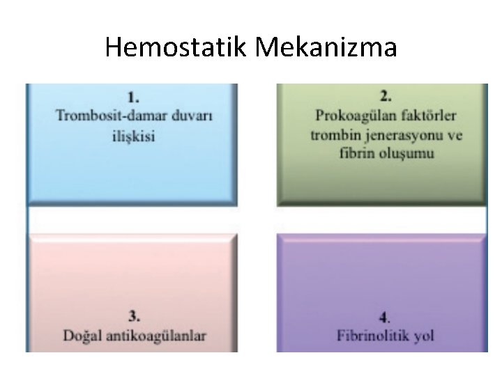 Hemostatik Mekanizma 