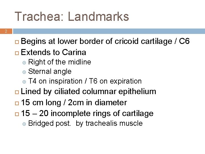 Trachea: Landmarks 2 Begins at lower border of cricoid cartilage / C 6 ¨