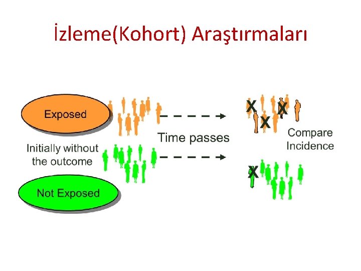 İzleme(Kohort) Araştırmaları 