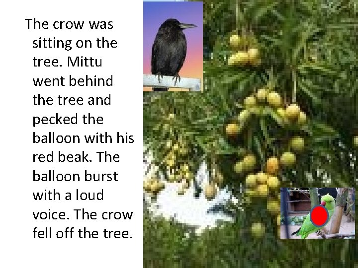 The crow was sitting on the tree. Mittu went behind the tree and pecked
