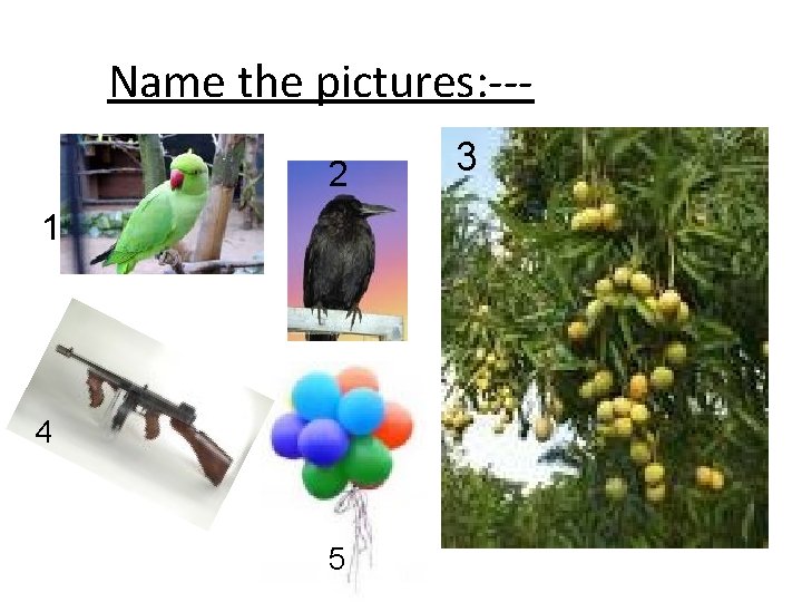 Name the pictures: --2 1 4 5 3 