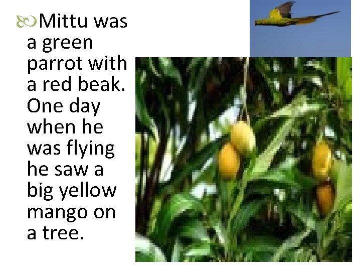 Mittu was a green parrot with a red beak. One day when he