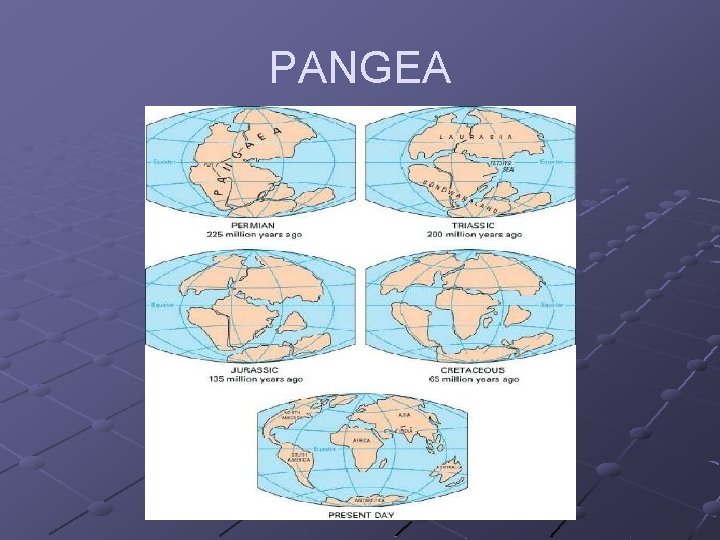 PANGEA 