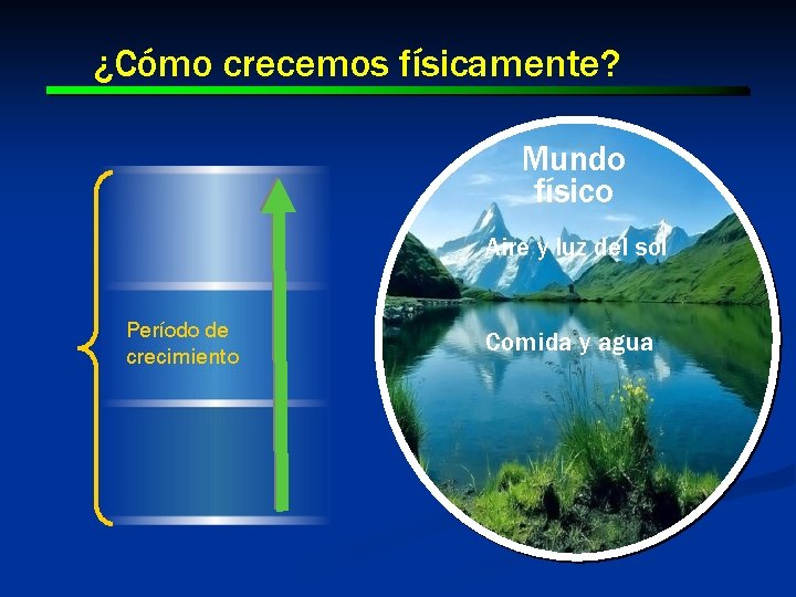 ¿Cómo crecemos físicamente? Mundo físico Aire y luz del sol Período de crecimiento Comida