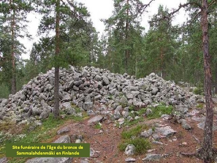 Site funéraire de l'âge du bronze de Sammalahdenmäki en Finlande 