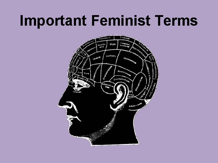 Important Feminist Terms 