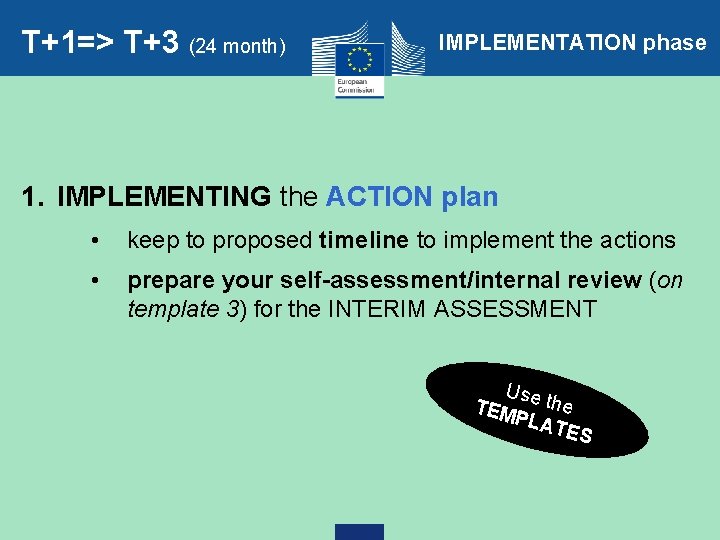 T+1=> T+3 (24 month) IMPLEMENTATION phase 1. IMPLEMENTING the ACTION plan • keep to