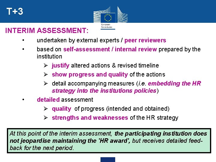 T+3 INTERIM ASSESSMENT: • • • undertaken by external experts / peer reviewers based