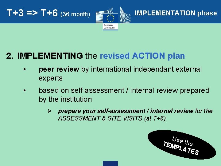 T+3 => T+6 (36 month) IMPLEMENTATION phase 2. IMPLEMENTING the revised ACTION plan •