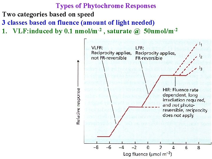 Types of Phytochrome Responses Two categories based on speed 3 classes based on fluence