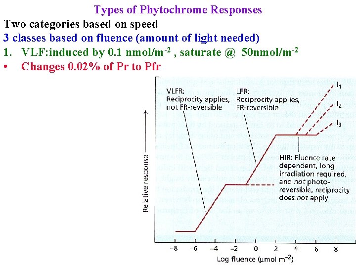 Types of Phytochrome Responses Two categories based on speed 3 classes based on fluence