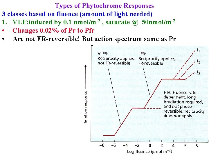 Types of Phytochrome Responses 3 classes based on fluence (amount of light needed) 1.