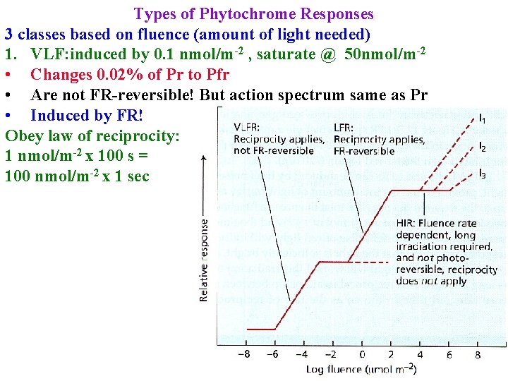 Types of Phytochrome Responses 3 classes based on fluence (amount of light needed) 1.