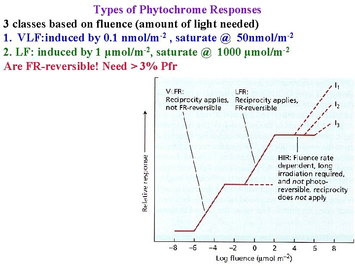 Types of Phytochrome Responses 3 classes based on fluence (amount of light needed) 1.