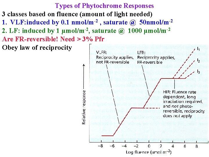 Types of Phytochrome Responses 3 classes based on fluence (amount of light needed) 1.