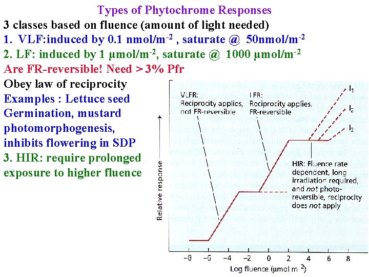 Types of Phytochrome Responses 3 classes based on fluence (amount of light needed) 1.