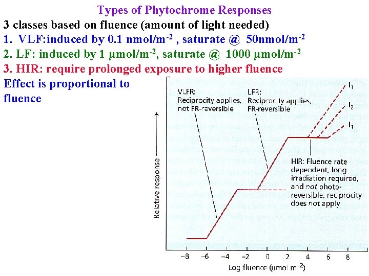 Types of Phytochrome Responses 3 classes based on fluence (amount of light needed) 1.