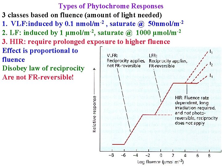 Types of Phytochrome Responses 3 classes based on fluence (amount of light needed) 1.