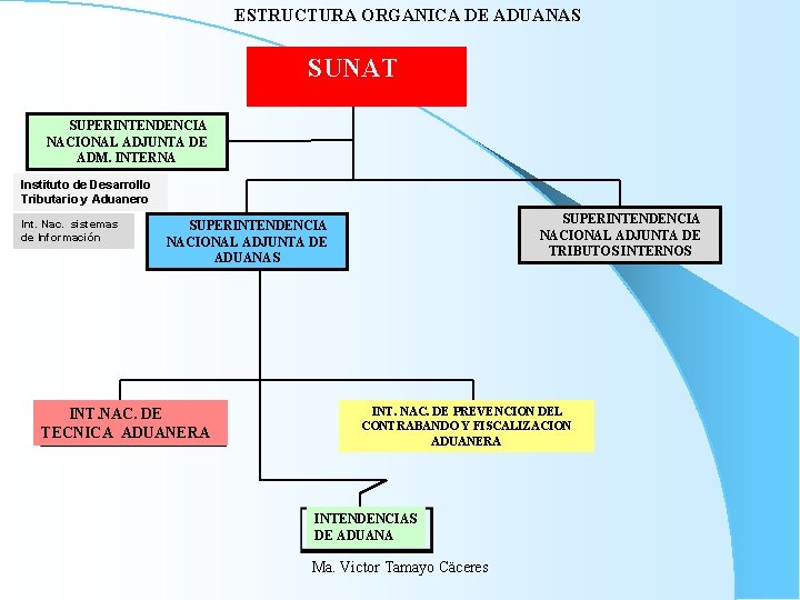 ESTRUCTURA ORGANICA DE ADUANAS SUNAT SUPERINTENDENCIA NACIONAL ADJUNTA DE ADM. INTERNA Instituto de Desarrollo ESTRUCTURA ORGANICA DE ADUANAS SUNAT SUPERINTENDENCIA NACIONAL ADJUNTA DE ADM. INTERNA Instituto de Desarrollo