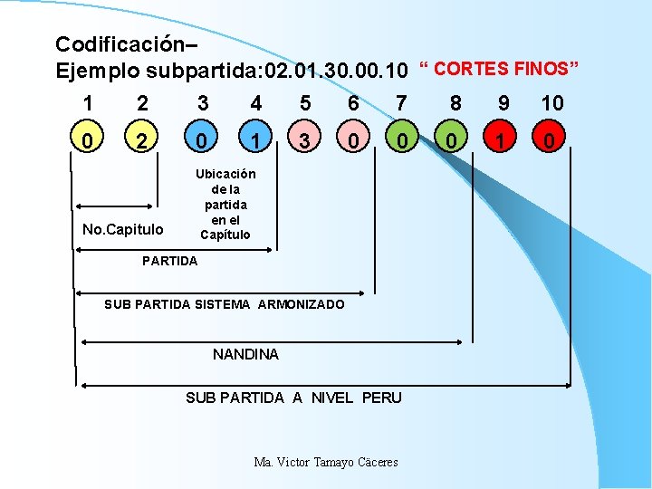 Codificación– Ejemplo subpartida: 02. 01. 30. 00. 10 “ CORTES FINOS” 1 2 3 Codificación– Ejemplo subpartida: 02. 01. 30. 00. 10 “ CORTES FINOS” 1 2 3