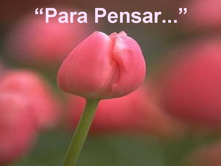 “Para Pensar. . . ” 