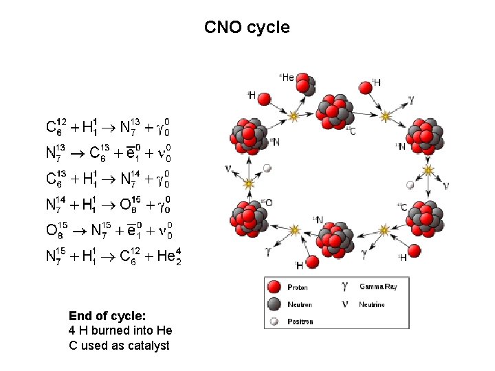 CNO cycle End of cycle: 4 H burned into He C used as catalyst