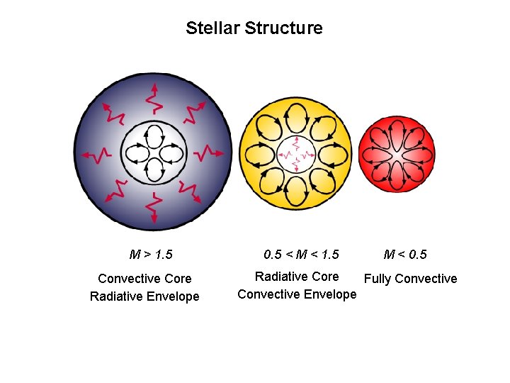 Stellar Structure M > 1. 5 Convective Core Radiative Envelope 0. 5 < M
