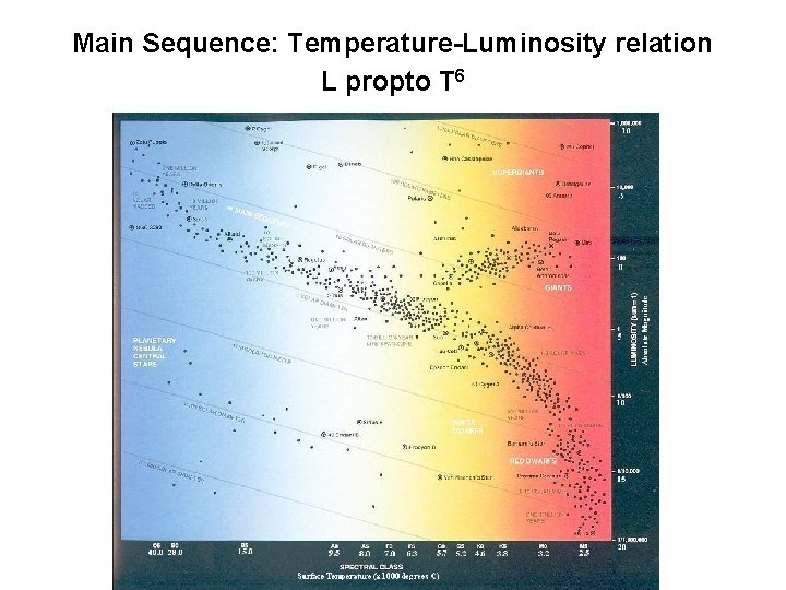 Main Sequence: Temperature-Luminosity relation L propto T 6 