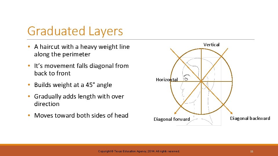 Graduated Layers Vertical • A haircut with a heavy weight line along the perimeter Graduated Layers Vertical • A haircut with a heavy weight line along the perimeter