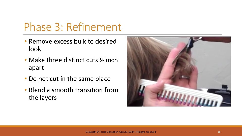 Phase 3: Refinement • Remove excess bulk to desired look • Make three distinct Phase 3: Refinement • Remove excess bulk to desired look • Make three distinct