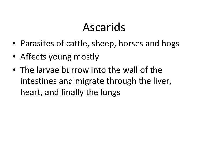 Ascarids • Parasites of cattle, sheep, horses and hogs • Affects young mostly •