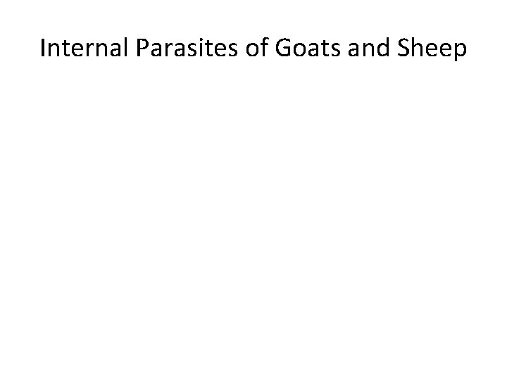 Internal Parasites of Goats and Sheep 