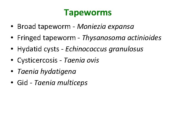 Tapeworms • • • Broad tapeworm - Moniezia expansa Fringed tapeworm - Thysanosoma actinioides