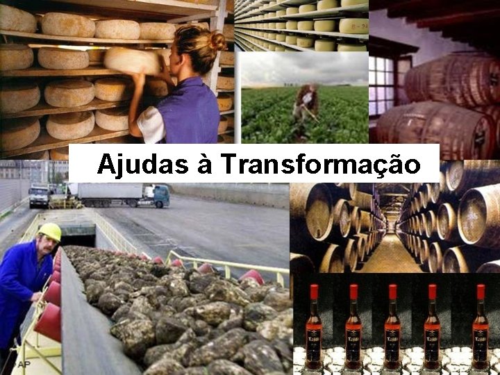 Ajudas à Transformação 