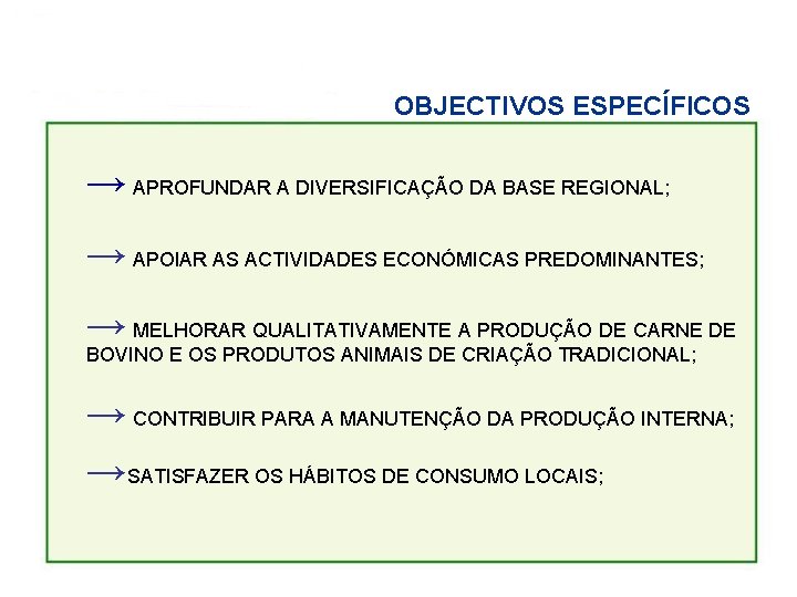 OBJECTIVOS ESPECÍFICOS → APROFUNDAR A DIVERSIFICAÇÃO DA BASE REGIONAL; → APOIAR AS ACTIVIDADES ECONÓMICAS