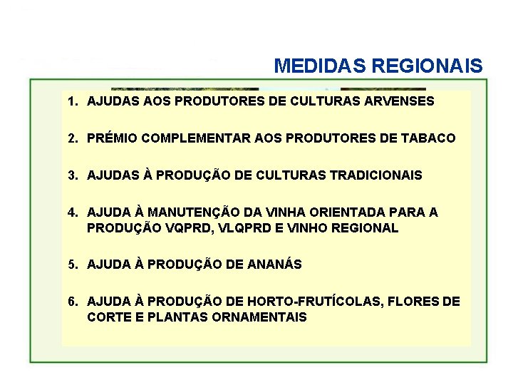 MEDIDAS REGIONAIS 1. AJUDAS AOS PRODUTORES DE CULTURAS ARVENSES 2. PRÉMIO COMPLEMENTAR AOS PRODUTORES