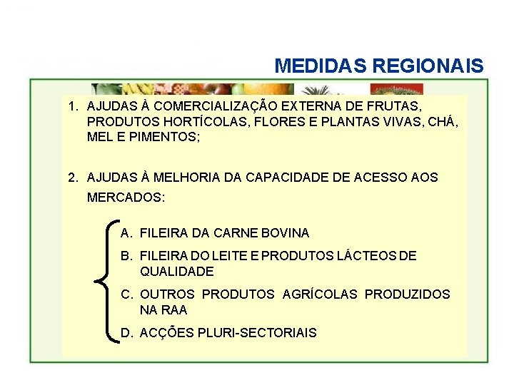 MEDIDAS REGIONAIS 1. AJUDAS À COMERCIALIZAÇÃO EXTERNA DE FRUTAS, PRODUTOS HORTÍCOLAS, FLORES E PLANTAS