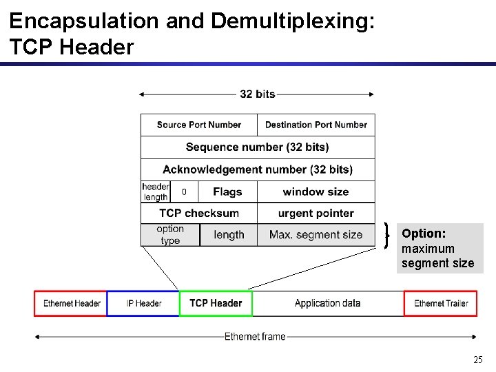 Encapsulation and Demultiplexing: TCP Header Option: maximum segment size 25 Encapsulation and Demultiplexing: TCP Header Option: maximum segment size 25