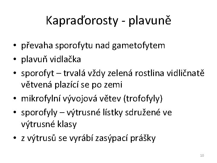 Kapraďorosty - plavuně • převaha sporofytu nad gametofytem • plavuň vidlačka • sporofyt – Kapraďorosty - plavuně • převaha sporofytu nad gametofytem • plavuň vidlačka • sporofyt –