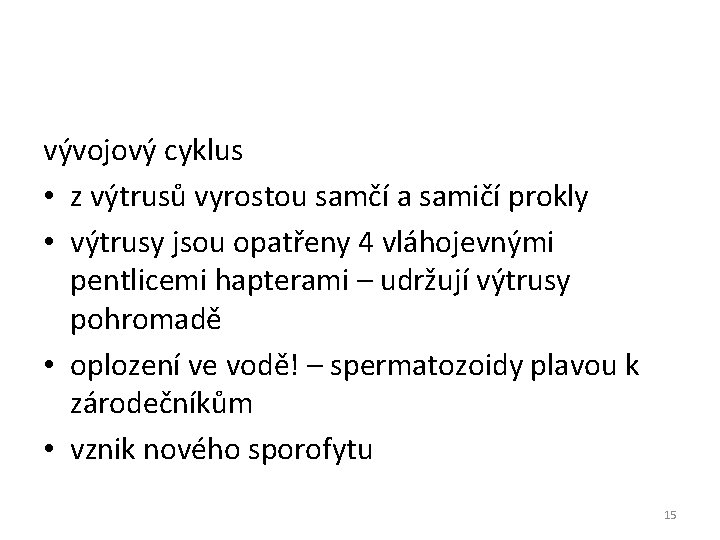vývojový cyklus • z výtrusů vyrostou samčí a samičí prokly • výtrusy jsou opatřeny vývojový cyklus • z výtrusů vyrostou samčí a samičí prokly • výtrusy jsou opatřeny