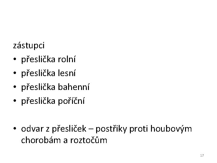 zástupci • přeslička rolní • přeslička lesní • přeslička bahenní • přeslička poříční • zástupci • přeslička rolní • přeslička lesní • přeslička bahenní • přeslička poříční •