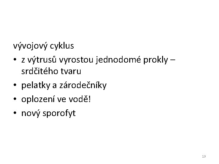 vývojový cyklus • z výtrusů vyrostou jednodomé prokly – srdčitého tvaru • pelatky a vývojový cyklus • z výtrusů vyrostou jednodomé prokly – srdčitého tvaru • pelatky a
