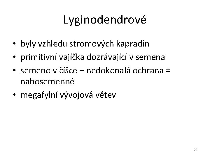 Lyginodendrové • byly vzhledu stromových kapradin • primitivní vajíčka dozrávající v semena • semeno Lyginodendrové • byly vzhledu stromových kapradin • primitivní vajíčka dozrávající v semena • semeno